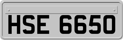 HSE6650