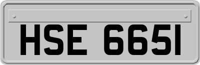 HSE6651