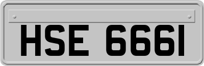 HSE6661