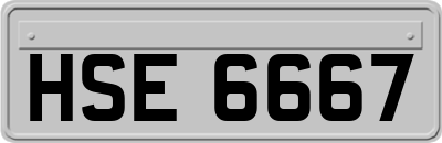 HSE6667
