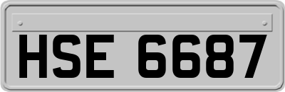 HSE6687