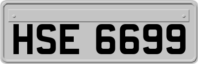 HSE6699