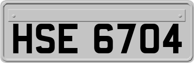 HSE6704