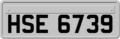 HSE6739