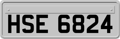 HSE6824
