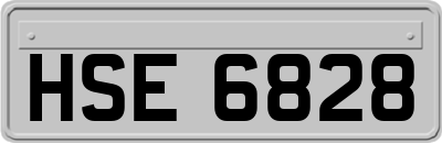HSE6828