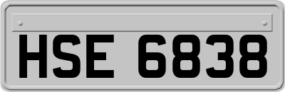 HSE6838
