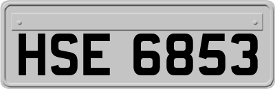 HSE6853