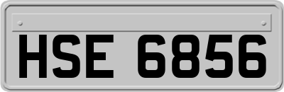 HSE6856