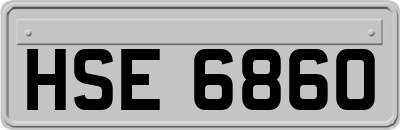 HSE6860
