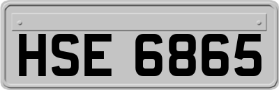 HSE6865