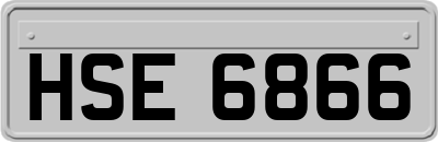 HSE6866