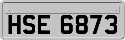 HSE6873