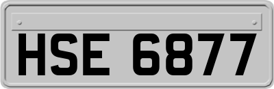 HSE6877