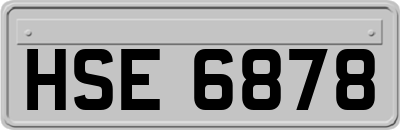 HSE6878