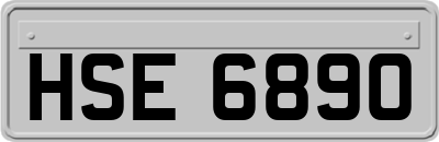 HSE6890