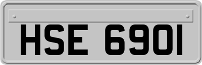 HSE6901