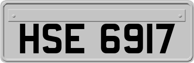 HSE6917