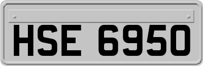 HSE6950