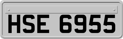 HSE6955