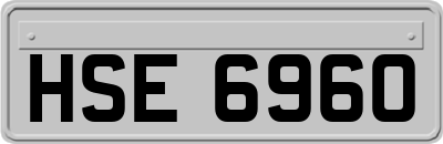 HSE6960