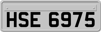 HSE6975