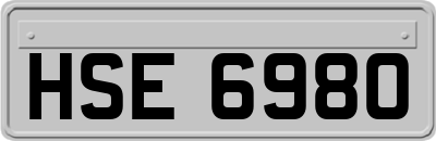 HSE6980