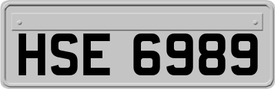 HSE6989
