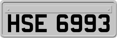 HSE6993