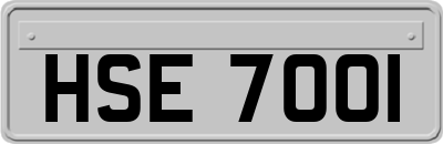 HSE7001