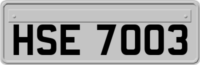 HSE7003