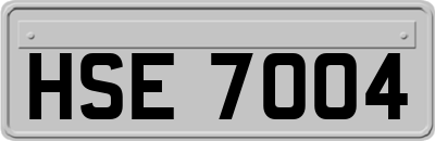 HSE7004