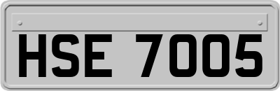 HSE7005