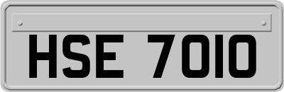 HSE7010