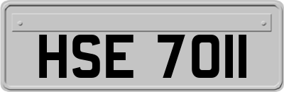 HSE7011