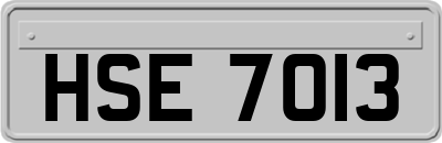 HSE7013