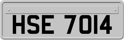 HSE7014