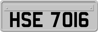 HSE7016