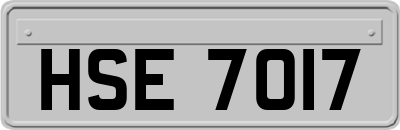 HSE7017