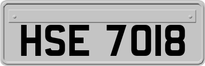 HSE7018