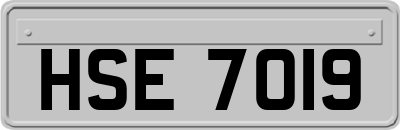 HSE7019