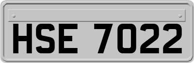 HSE7022