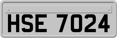 HSE7024
