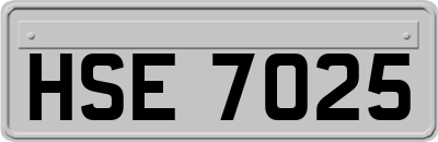 HSE7025