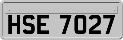 HSE7027