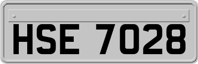 HSE7028