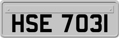 HSE7031