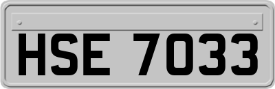 HSE7033