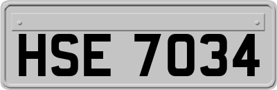 HSE7034