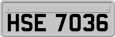 HSE7036
